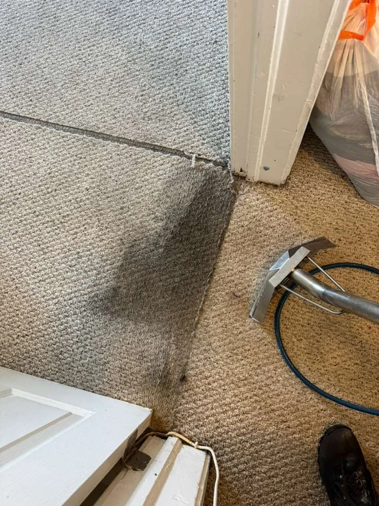 Carpet cleaning before and after result